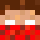 Image for Antarctic_ Minecraft Player