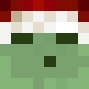 Image for Antartic Minecraft Player