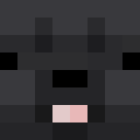 Image for AntiBear Minecraft Player