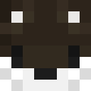 Image for Antoninho Minecraft Player