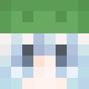 Image for Aporoo Minecraft Player