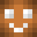 Image for Aqero Minecraft Player