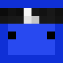 Image for Aqqser Minecraft Player