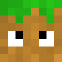 Image for ArQuu Minecraft Player