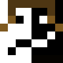 Image for Arianie Minecraft Player