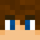 Image for AriniS Minecraft Player