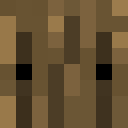 Image for ArmourBar Minecraft Player