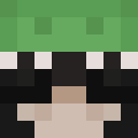 Image for Arorie Minecraft Player