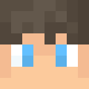 Image for Arows Minecraft Player