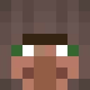 Image for Artxo Minecraft Player