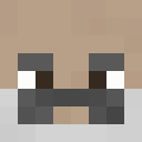 Image for Ash_I_Guess Minecraft Player