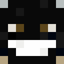 Image for Ataii Minecraft Player