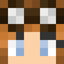 Image for AuroraFox Minecraft Player