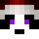 Image for Awsome_Panda Minecraft Player