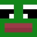 Image for Aysuu Minecraft Player