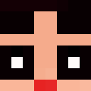 Image for BInll Minecraft Player