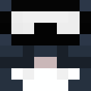 Image for BLOSO Minecraft Player