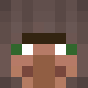 Image for BRICKO11 Minecraft Player