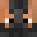 Image for BacinBitz Minecraft Player