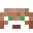 Image for Barbque Minecraft Player