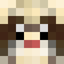 Image for Bauls Minecraft Player