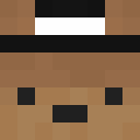 Image for Bearzi Minecraft Player