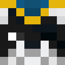 Image for Bee41 Minecraft Player