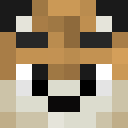 Image for BenjiTiger Minecraft Player