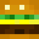 Image for Bergr Minecraft Player