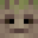 Image for Bestrix Minecraft Player