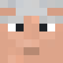 Image for BidenSus Minecraft Player