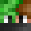 Image for Biillis Minecraft Player