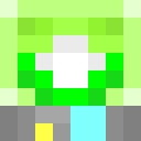 Image for BipBip Minecraft Player