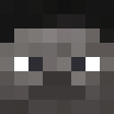 Image for BirdBox Minecraft Player