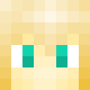 Image for Birdlet Minecraft Player