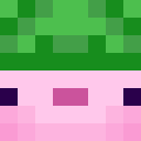 Image for Biscuitta Minecraft Player