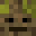 Image for BlaCkBlitZ Minecraft Player