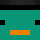 Image for Blanci0r Minecraft Player