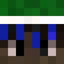 Image for Blqe_ Minecraft Player