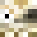 Image for Bolainas Minecraft Player