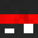 Image for Bqrd Minecraft Player