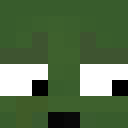 Image for Brande Minecraft Player