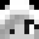 Image for Brayer Minecraft Player