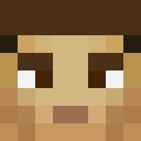 Image for BrianJU Minecraft Player