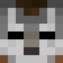 Image for Briefbote Minecraft Player