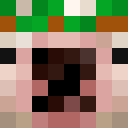 Image for Bwush Minecraft Player