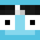 Image for C4PE Minecraft Player