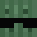 Image for CCactus Minecraft Player