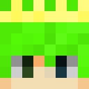 Image for CO___MET Minecraft Player