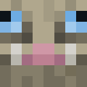 Image for CanyaBomber Minecraft Player